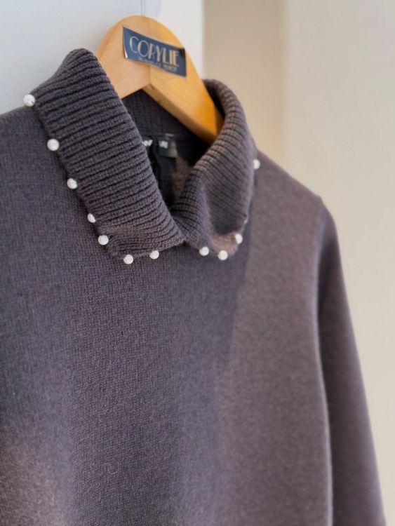 Anne Claire Pull Bruin  (D1854/042) - Corylie (Roeselare)