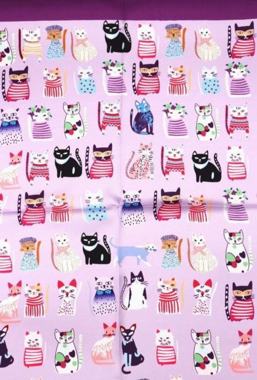 Cory Sjaal Paars  (Bandana/Cat/Purple) - Corylie (Roeselare)