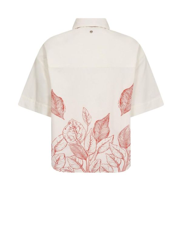 Mos Mosh Bloes Wit  (177770/180) - Corylie (Roeselare)