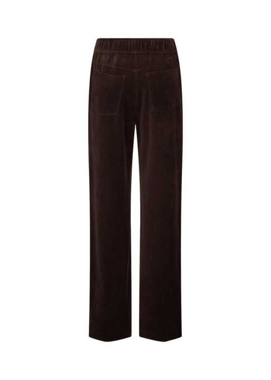 Riani Broek Bruin  (683970/631) - Corylie (Roeselare)