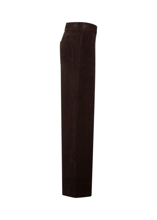 Riani Broek Bruin  (683970/631) - Corylie (Roeselare)