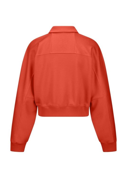 Riani Pull Oranje  (671480/320) - Corylie (Roeselare)
