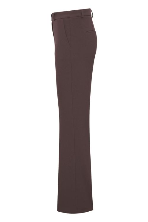 Seductive Broek Bruin  (Rossie/690) - Corylie (Roeselare)